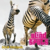Small Stampede (2012) on CD
